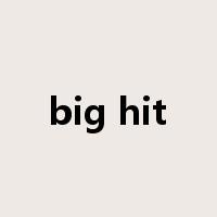 big hit是什么意思