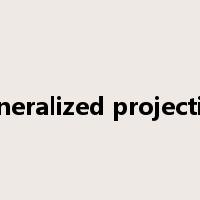 generalized projection是什么意思
