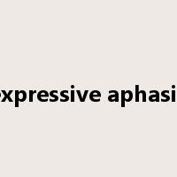expressive aphasia是什么意思