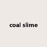 coal slime是什么意思