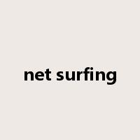 net surfing是什么意思