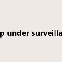 keep under surveillance是什么意思