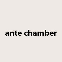 ante chamber是什么意思