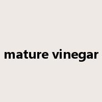 mature vinegar是什么意思