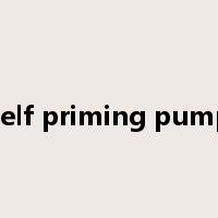 self priming pump是什么意思