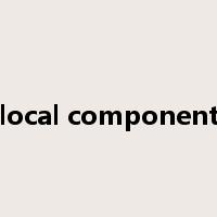 local component是什么意思