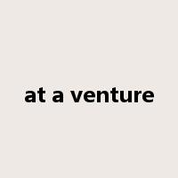 at a venture是什么意思
