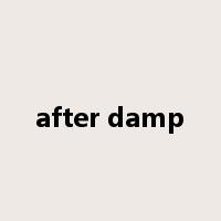 after damp是什么意思
