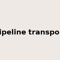 pipeline transport是什么意思