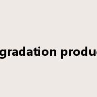 degradation products是什么意思