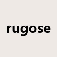 rugose是什么意思