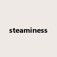 steaminess是什么意思