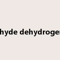 aldehyde dehydrogenase是什么意思