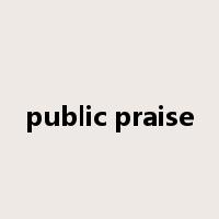 public praise是什么意思