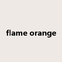 flame orange是什么意思