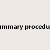 summary procedure是什么意思