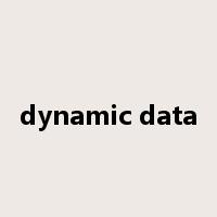 dynamic data是什么意思