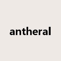 antheral是什么意思