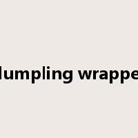 dumpling wrapper是什么意思