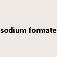 sodium formate是什么意思