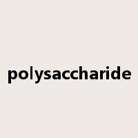 polysaccharide是什么意思