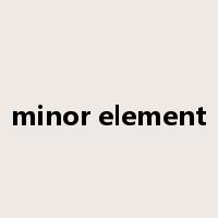 minor element是什么意思