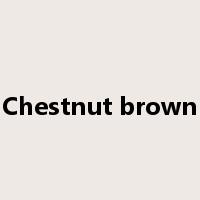Chestnut brown是什么意思