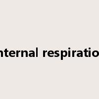 internal respiration是什么意思