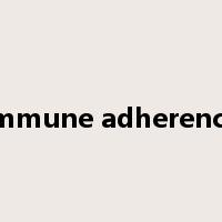 immune adherence是什么意思