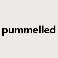pummelled是什么意思