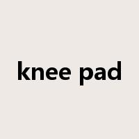 knee pad是什么意思