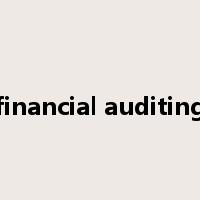 financial auditing是什么意思