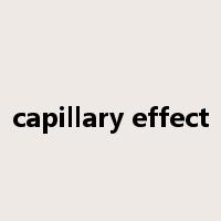 capillary effect是什么意思