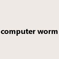 computer worm是什么意思