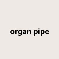 organ pipe是什么意思
