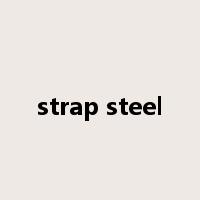 strap steel是什么意思