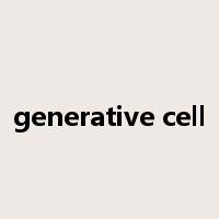 generative cell是什么意思