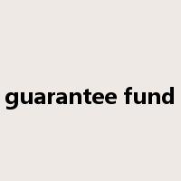 guarantee fund是什么意思