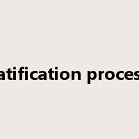 ratification process是什么意思