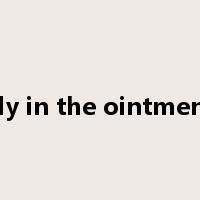 Fly in the ointment是什么意思