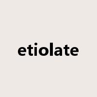 etiolate是什么意思
