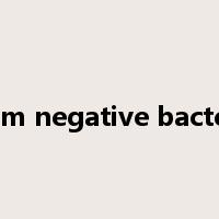 gram negative bacteria是什么意思