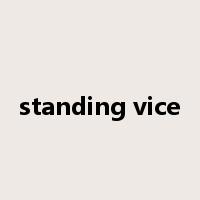 standing vice是什么意思
