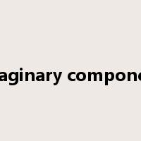 imaginary component是什么意思