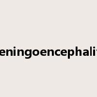 meningoencephalitis是什么意思