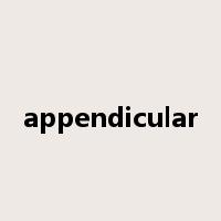 appendicular是什么意思