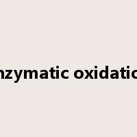 enzymatic oxidation是什么意思
