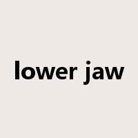 lower jaw是什么意思