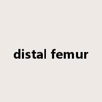 distal femur是什么意思