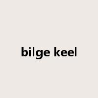 bilge keel是什么意思
